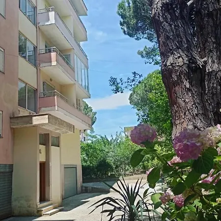 Apartment 1 Тирана